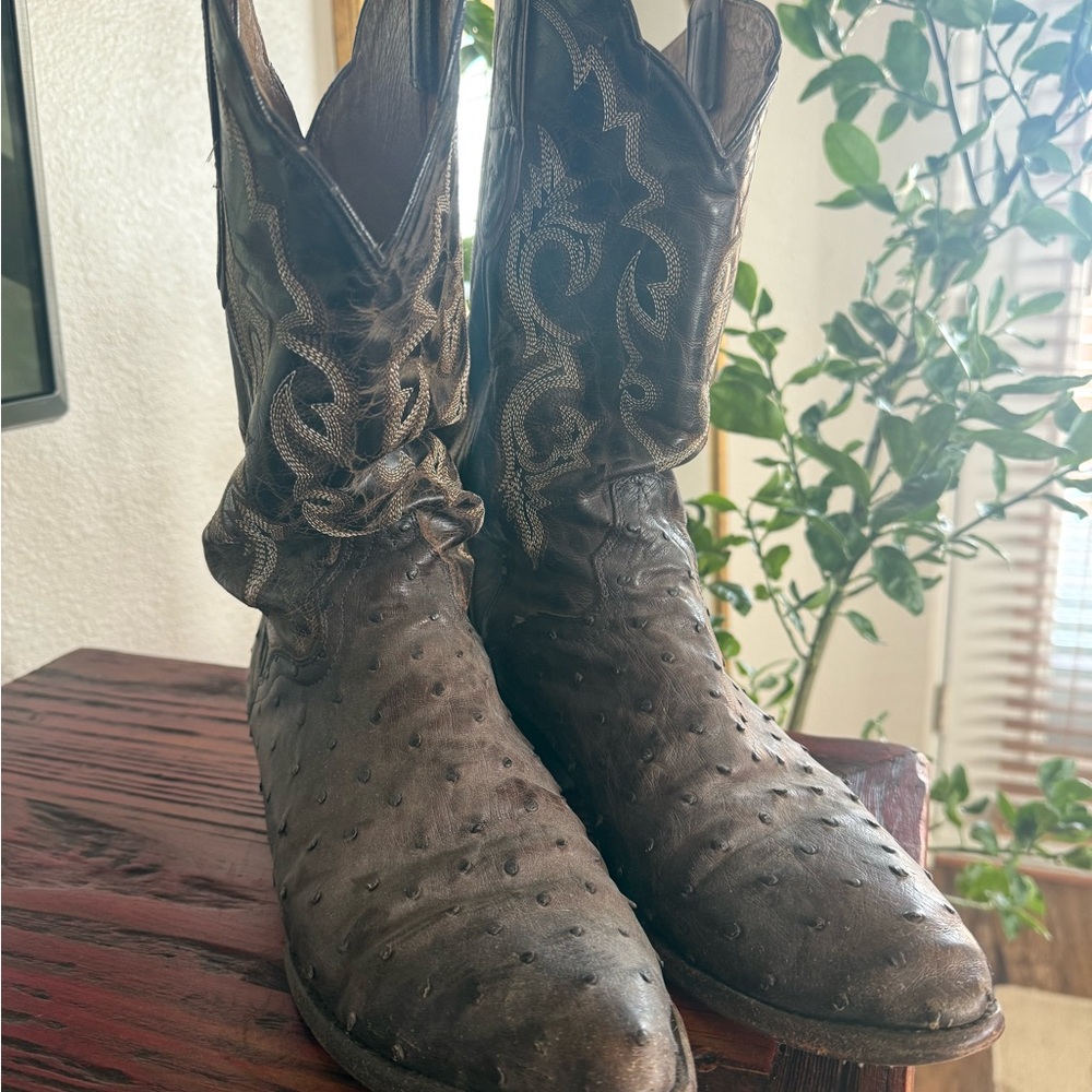 JB Dillon Men's Brown Ostrich Western Boots